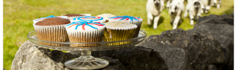 Gingerbread Cupcakes