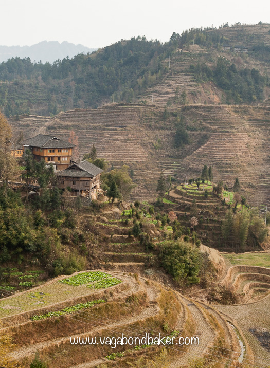 Dragon's Backbone Rice Terraces