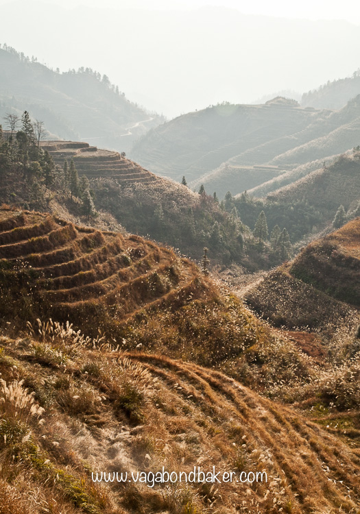Dragon's Backbone Rice Terraces