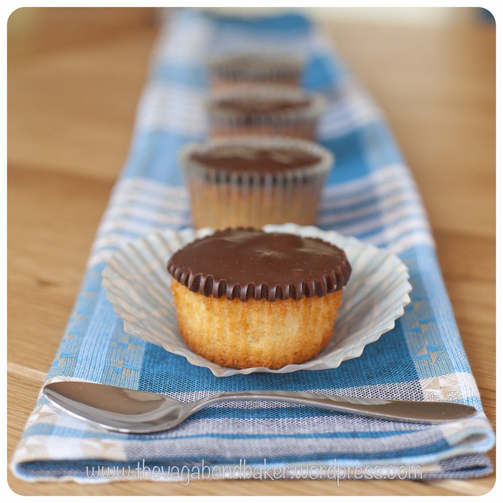 Boston Cream Pie Cupcakes | Vagabond Baking
