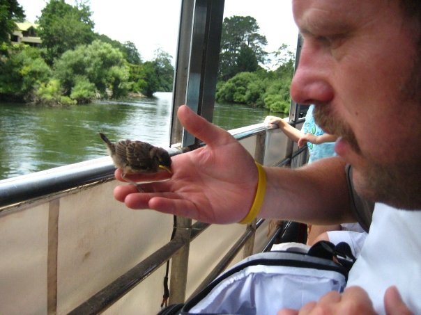 New Zealand, Sparrow