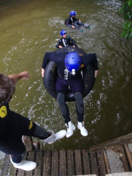 New Zealand, Sparrow