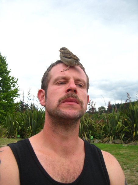 New Zealand, Sparrow