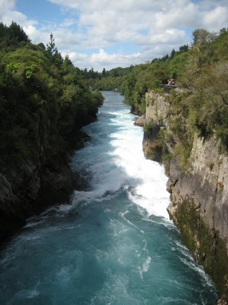 New Zealand, Sparrow