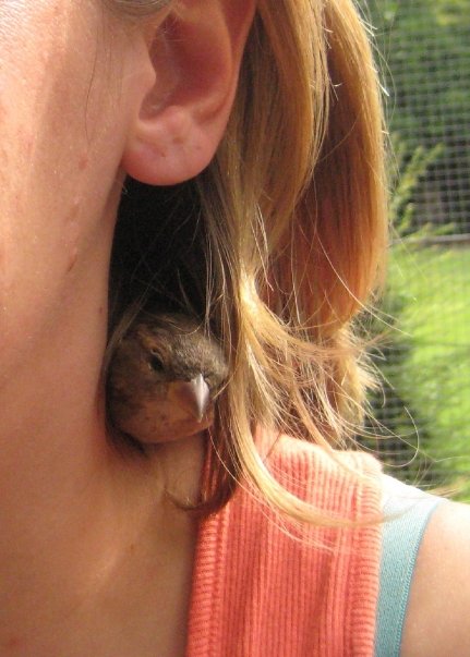 Jack's favourite spot.