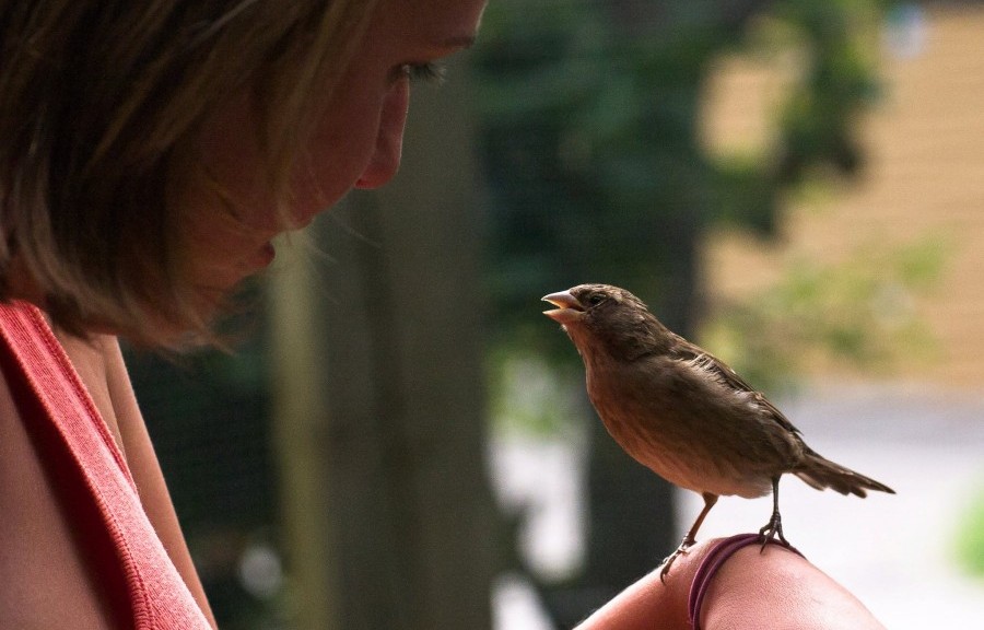 Me, having a Snow White moment!