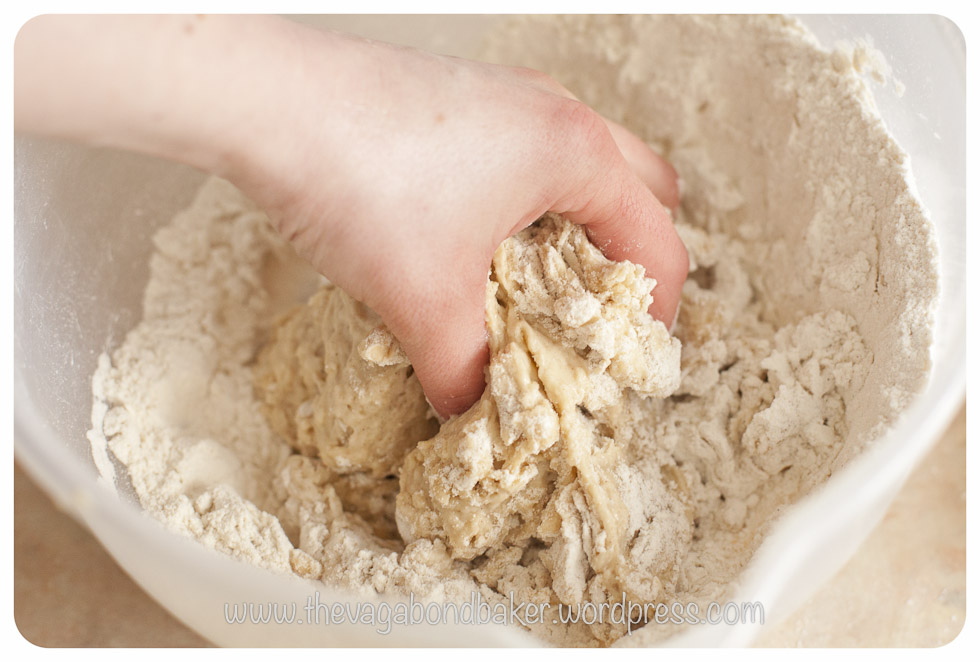Blueberry Pull-Apart Buns | Vagabond Baking