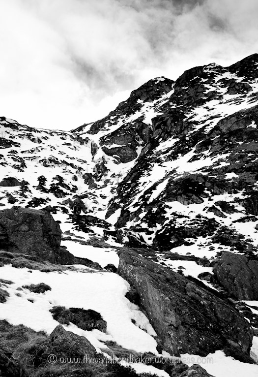 Scotland, UK, Cairngorms