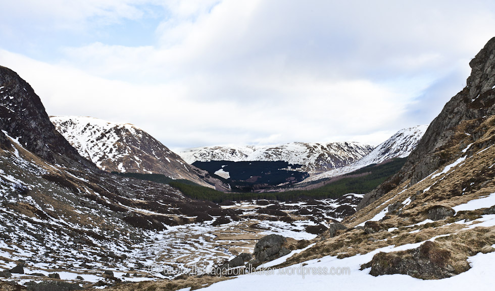 Scotland, UK, Cairngorms