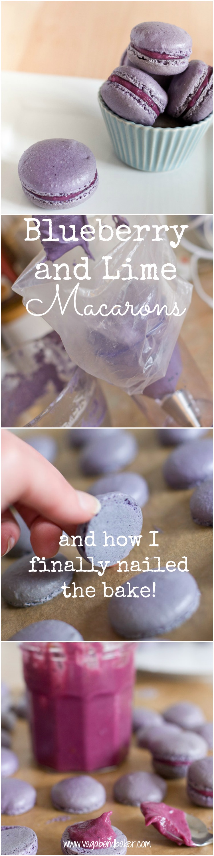 Blueberry and Lime Macarons: how I mastered macarons with a few tips and cheats. Filled with a quick, home made, blueberry and lime curd so they burst with flavour.