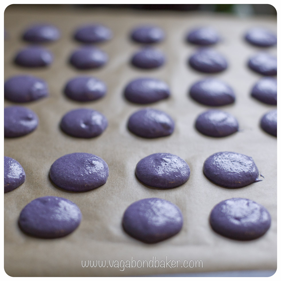 Blueberry Macarons