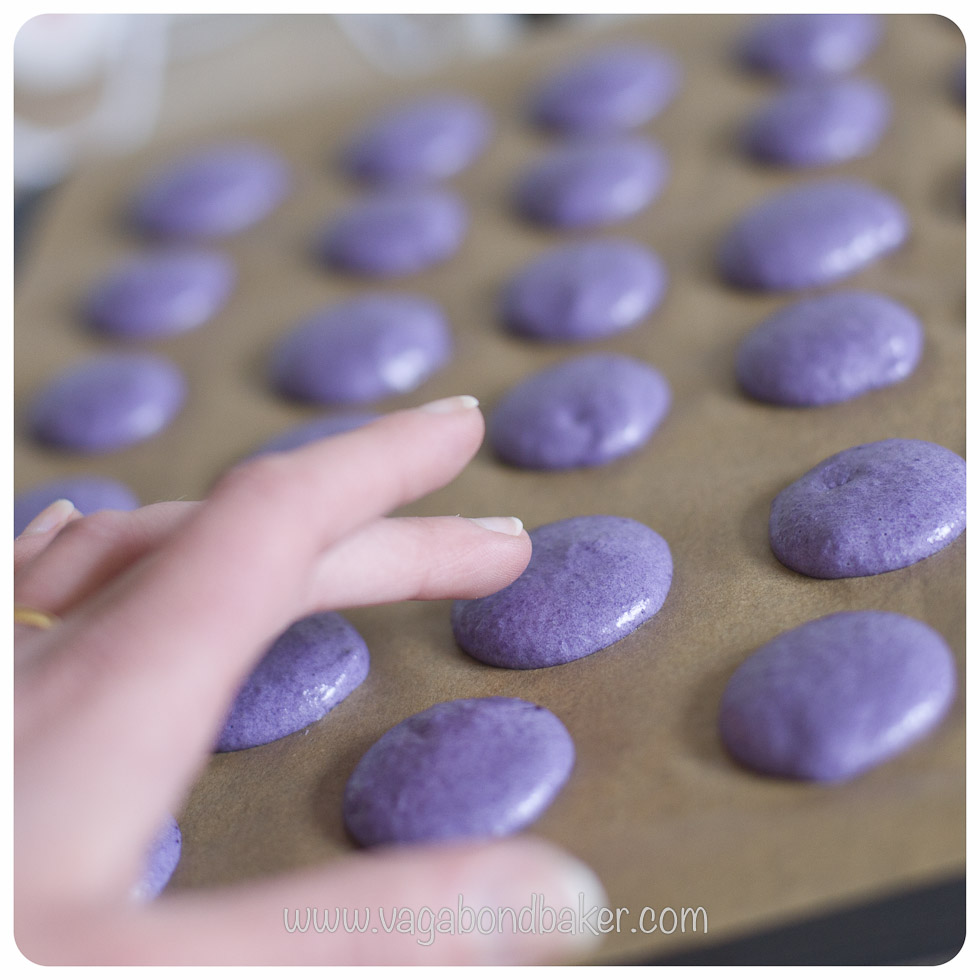 Blueberry Macarons