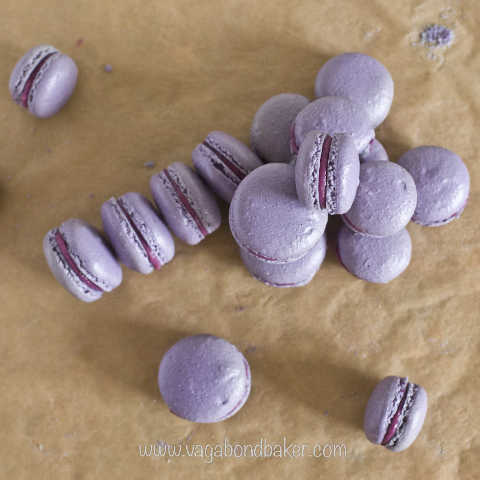 Blueberry and Lime Macarons | Vagabond Baking
