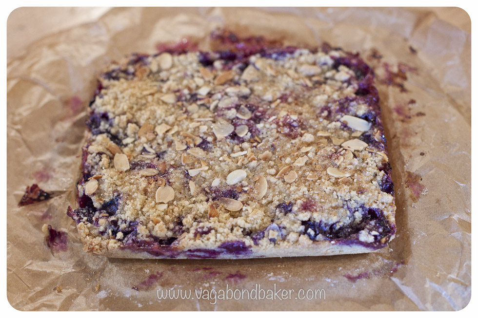 Blueberry Crumble Slices | Vagabond Baking