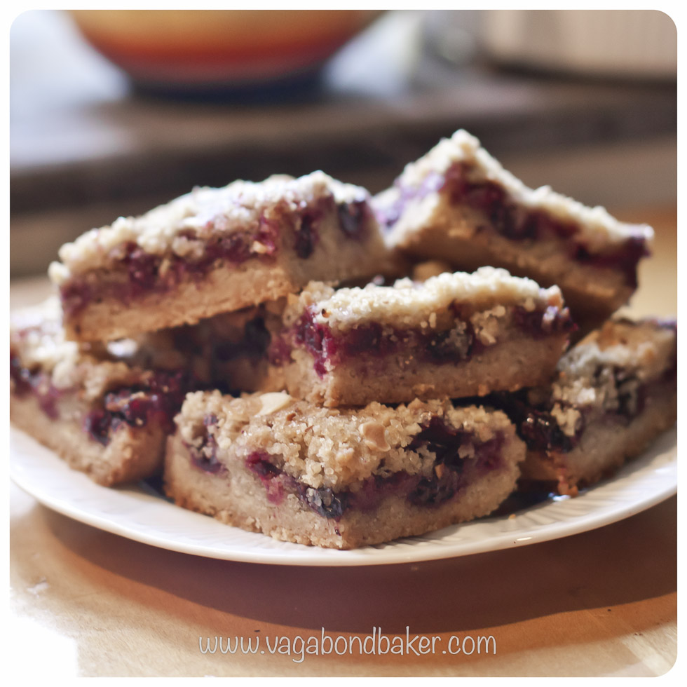 Blueberry Crumble Slices | Vagabond Baking