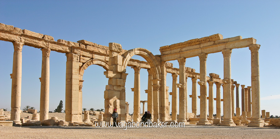 Palmyra
