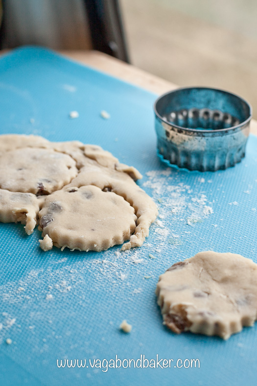 Campervan Friendly Welsh Cream Tea 