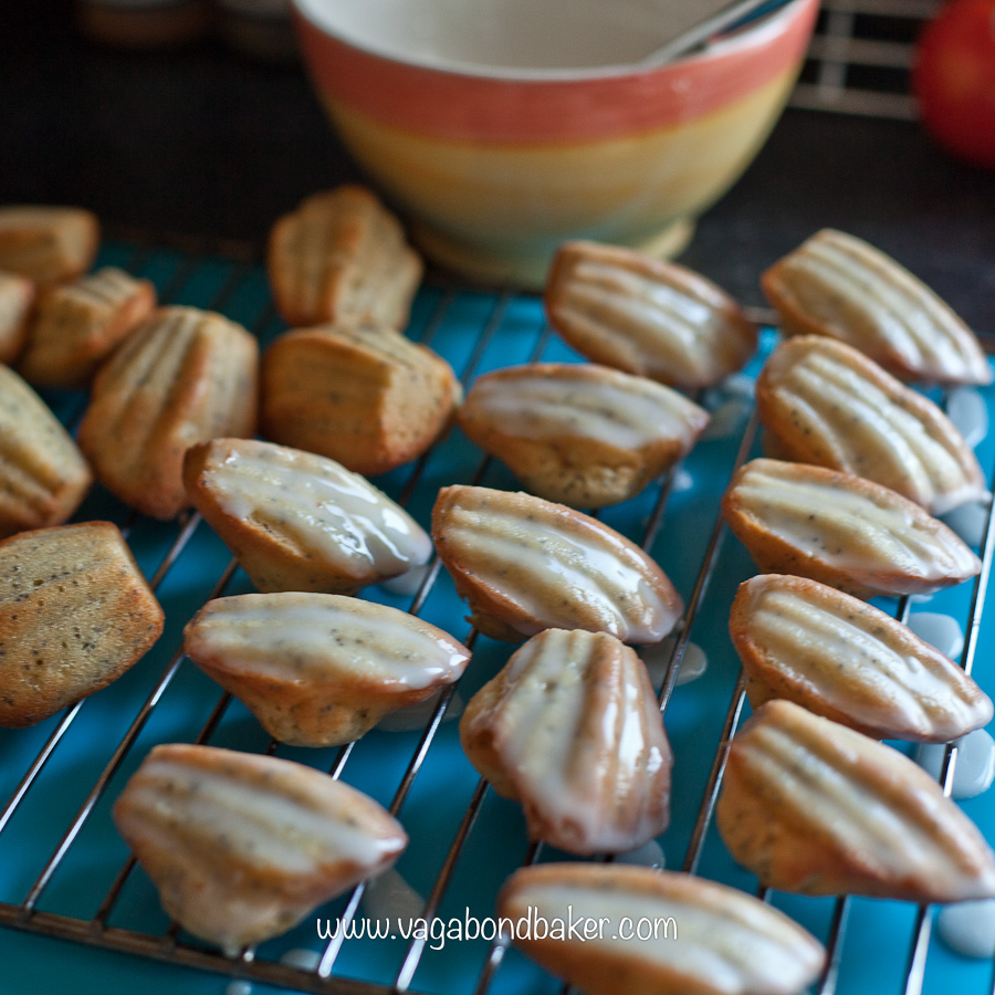 Lemon and Poppy Seed Madeleines
