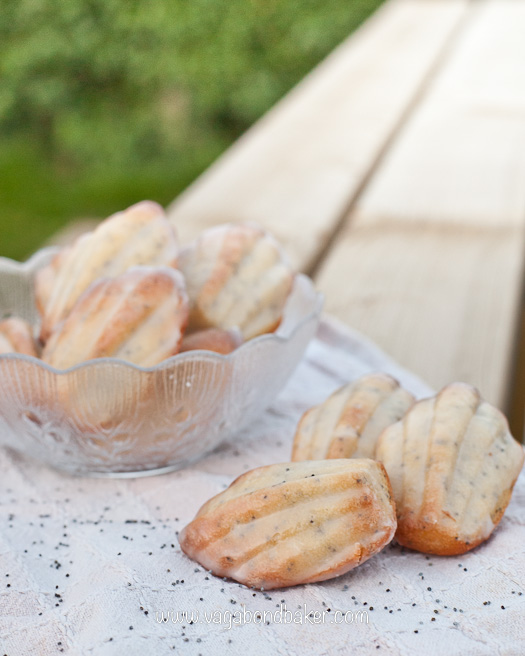 Lemon and Poppy Seed Madeleines