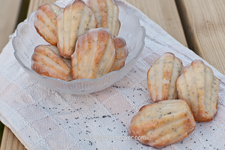 Lemon and Poppy Seed Madeleines