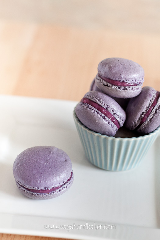 Blueberry and Lime Macarons | Vagabond Baking