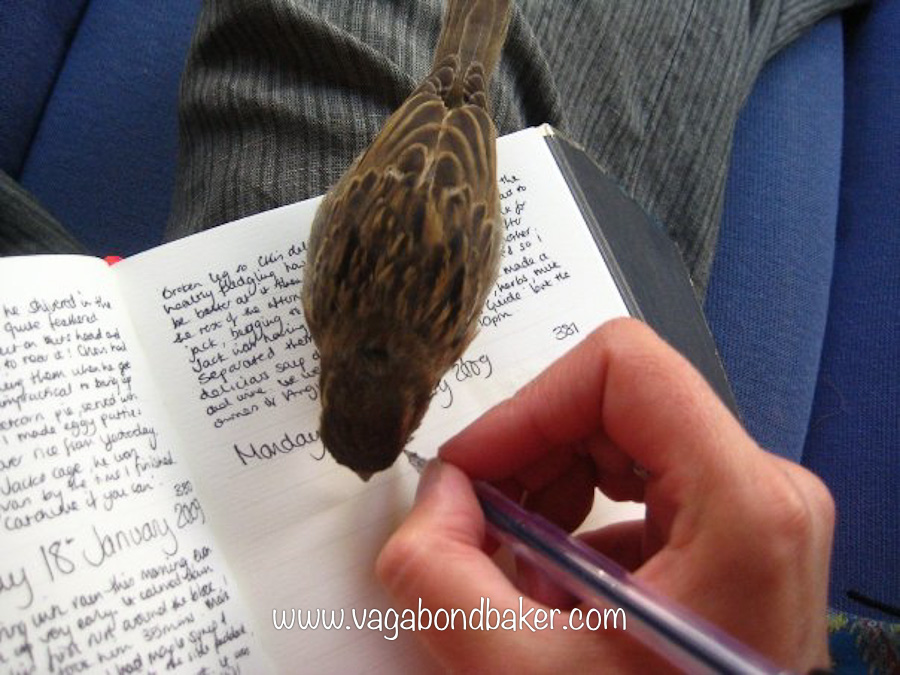 Keeping a creative travel journal | Vagabond Baking