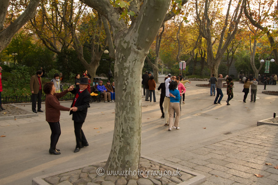 photo by Chris T Hodgson