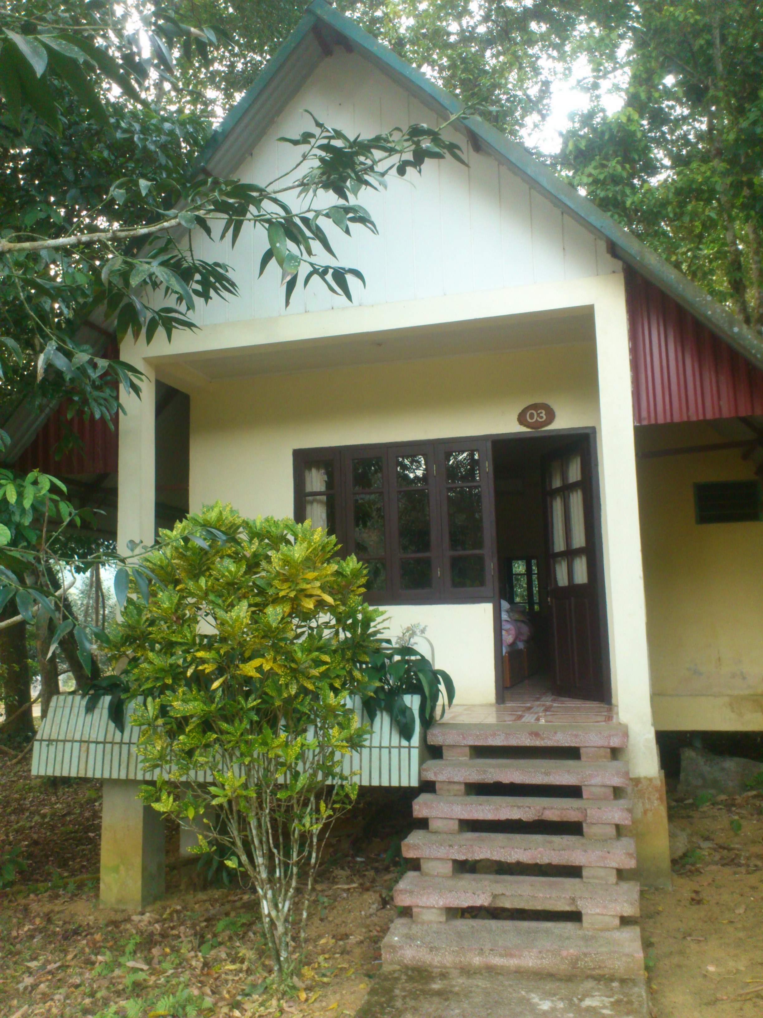 Our little home in the Jungle