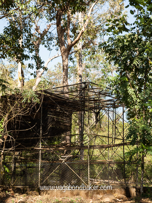 Dao Tien Endangered Primate Species Centre