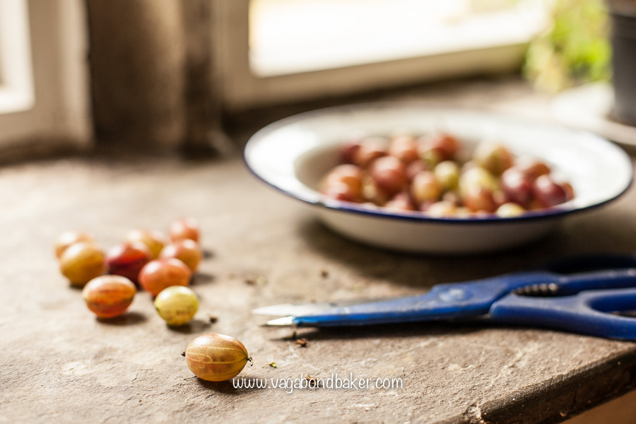 Gooseberry Meringue Roulade-7580