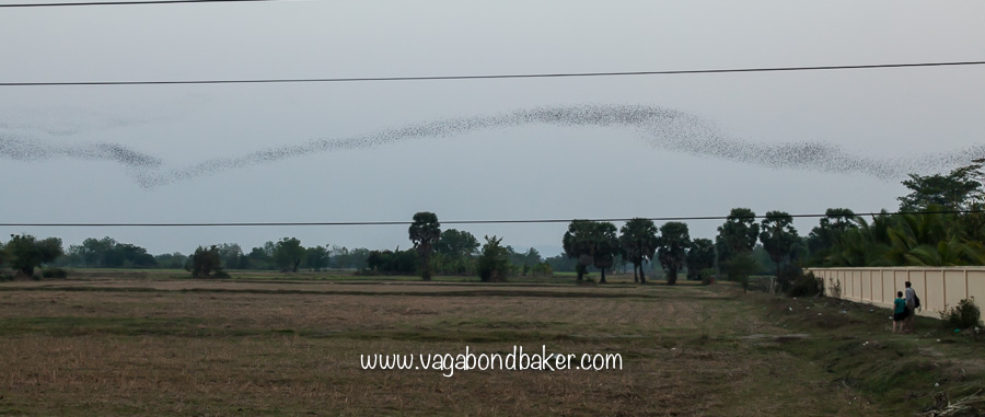 Battambang | Cambodia-2357