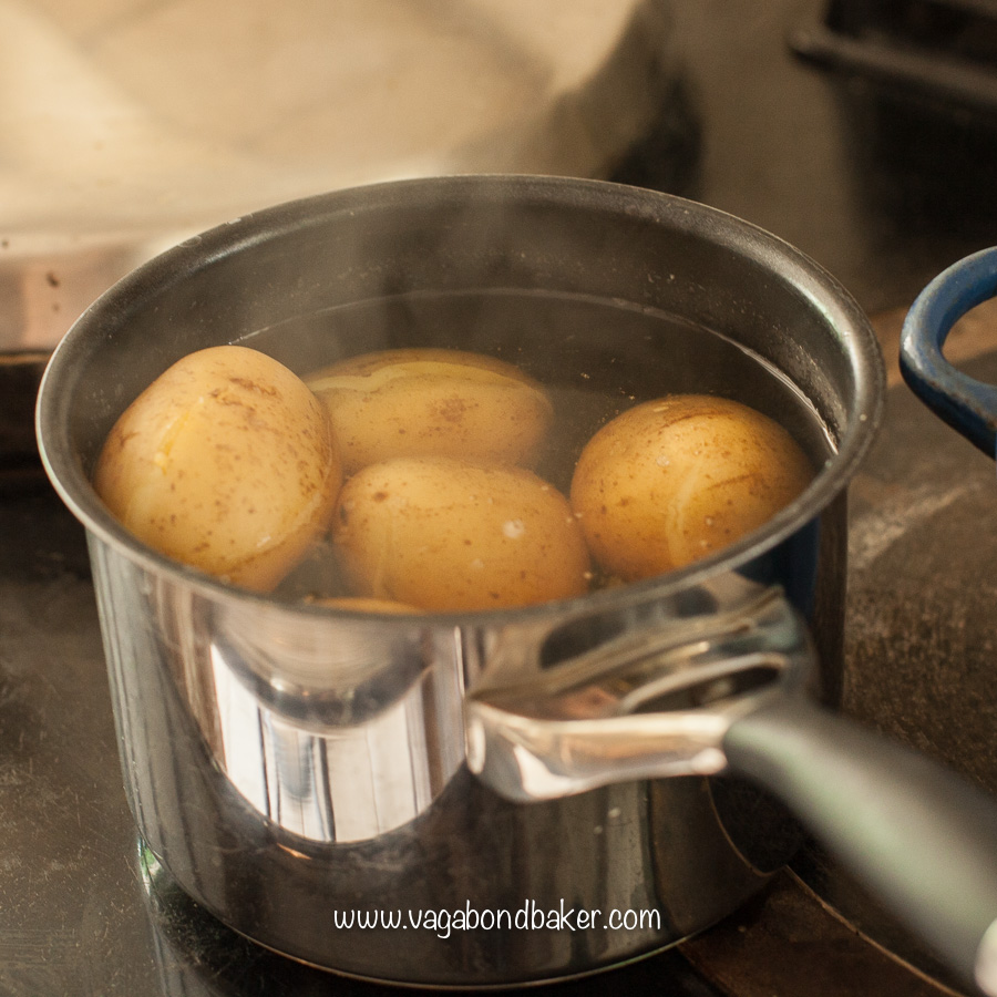 Yangshuo Fried Potatoes-7145
