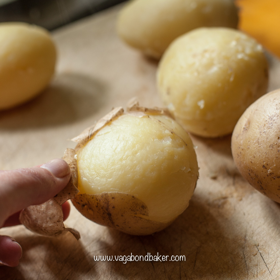 Yangshuo Fried Potatoes-7149
