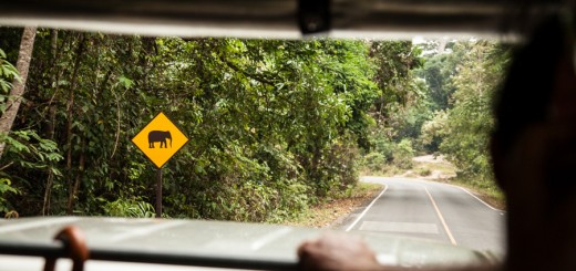 khao yai national park