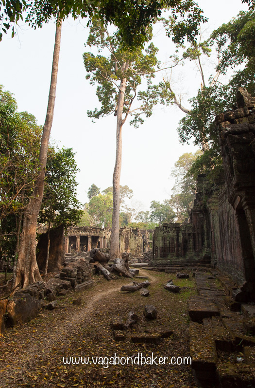 Preah Khan | Cambodia-2453