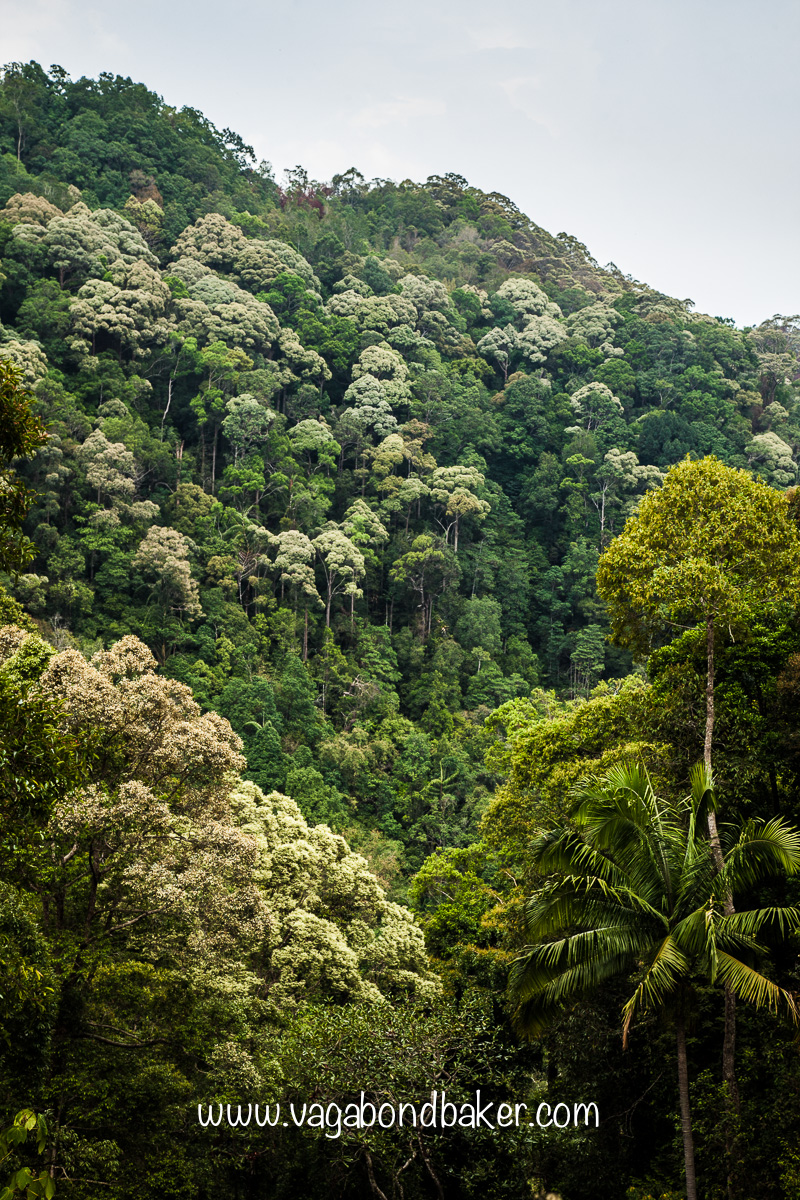 Penang Hill | Malaysia
