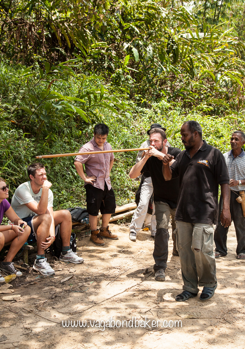 Cameron Highlands | Malaysia