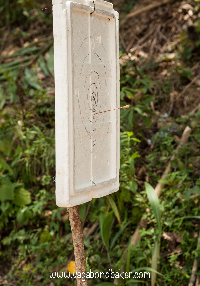 Cameron Highlands | Malaysia