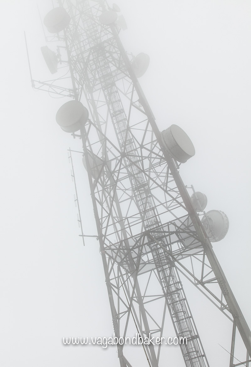 Cameron Highlands | Malaysia