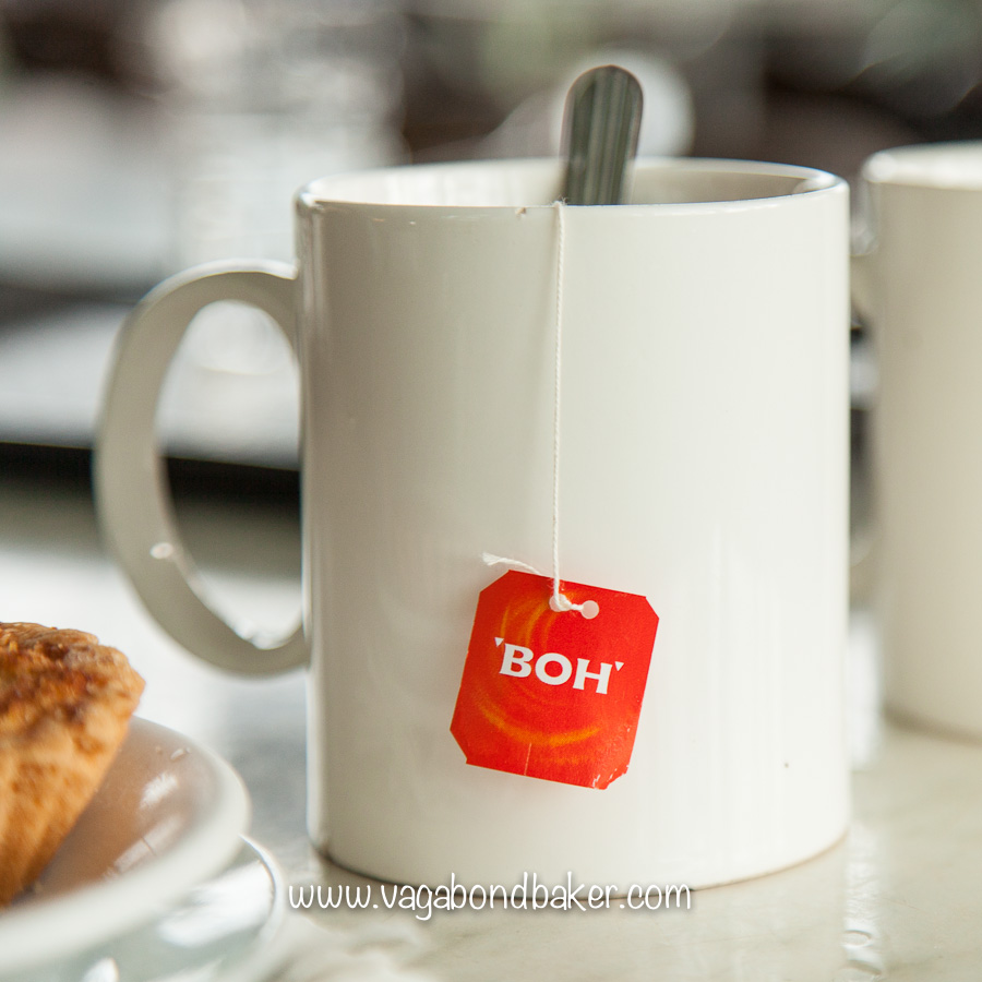 Cameron Highlands | Malaysia