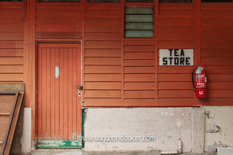 Cameron Highlands, Malaysia, Boh Sungei Palas Tea Estate