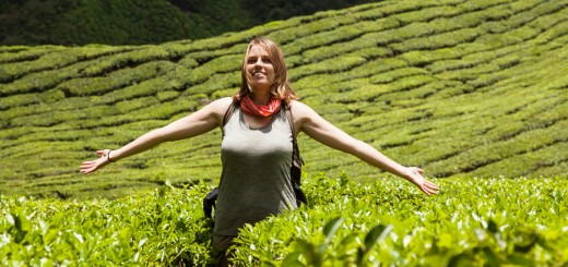 Cameron Highlands | Malaysia