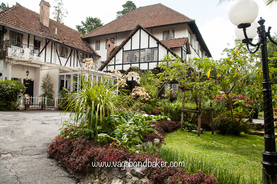 Cameron Highlands | Malaysia