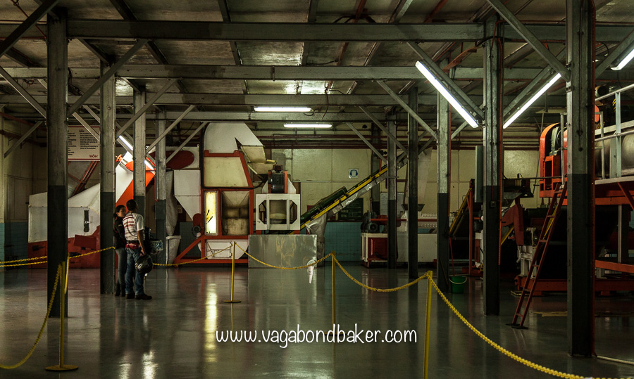 Cameron Highlands | Malaysia