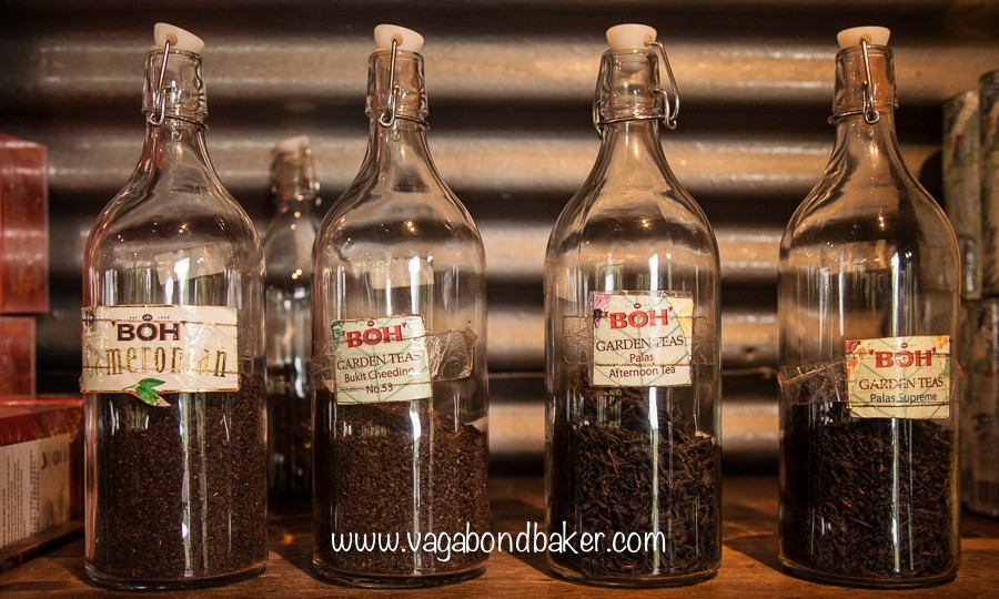 Cameron Highlands | Malaysia