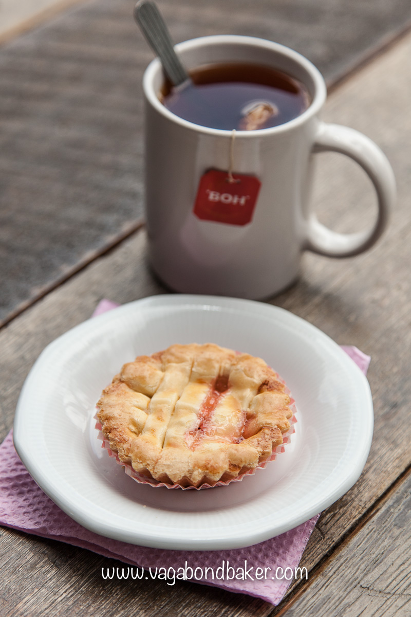 Cameron Highlands | Malaysia