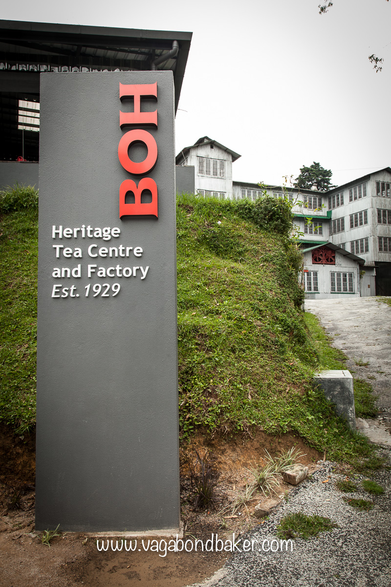 Cameron Highlands | Malaysia