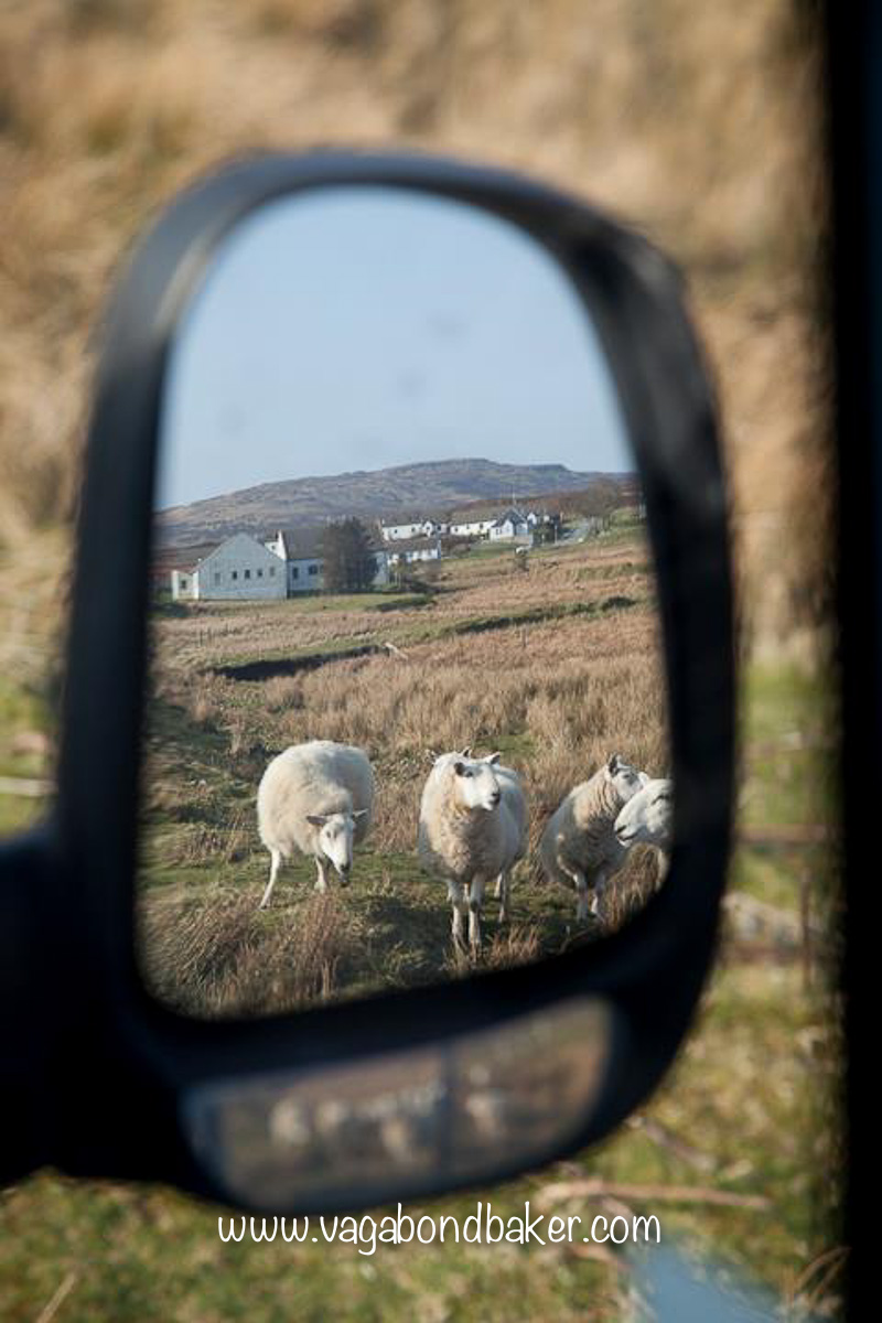 live in a camper van