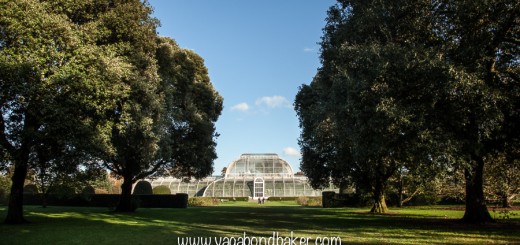 Kew Gardens in Autumn