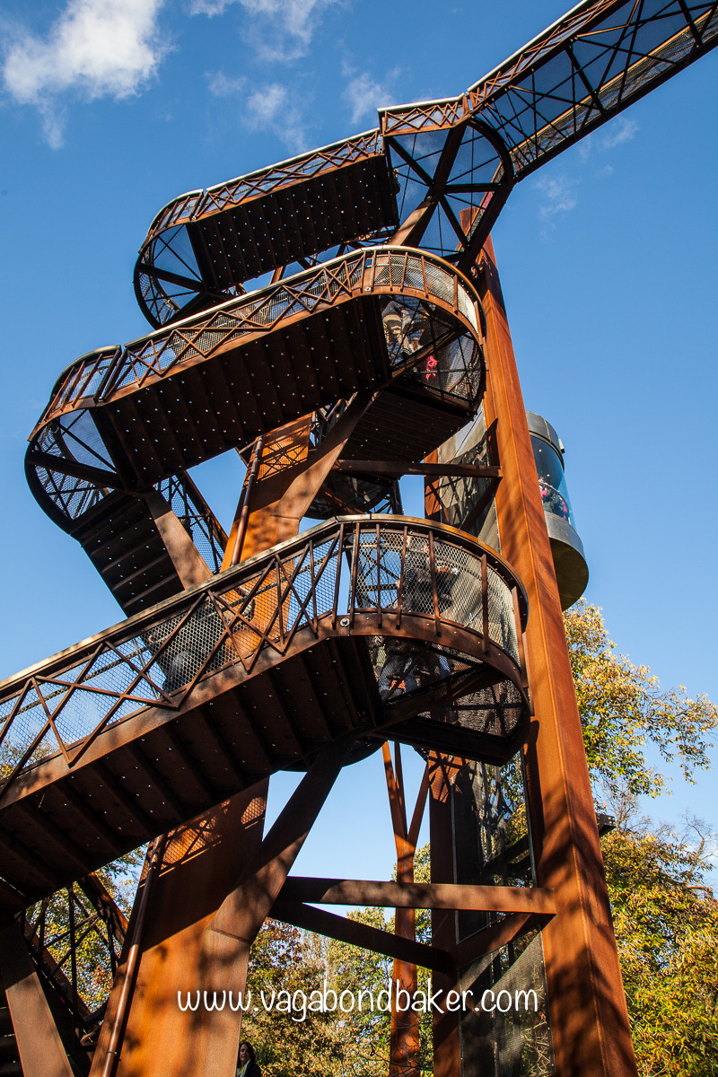 Kew Gardens in Autumn